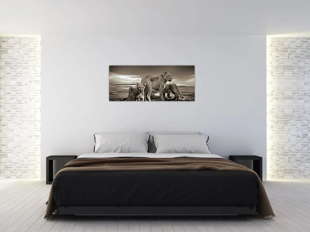 Tablou cu leii alb negri (120x50 cm)