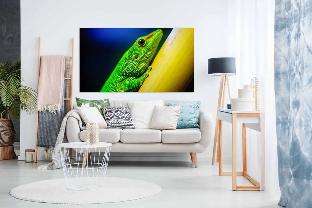 Tablou canvas cameleon - 100x60cm