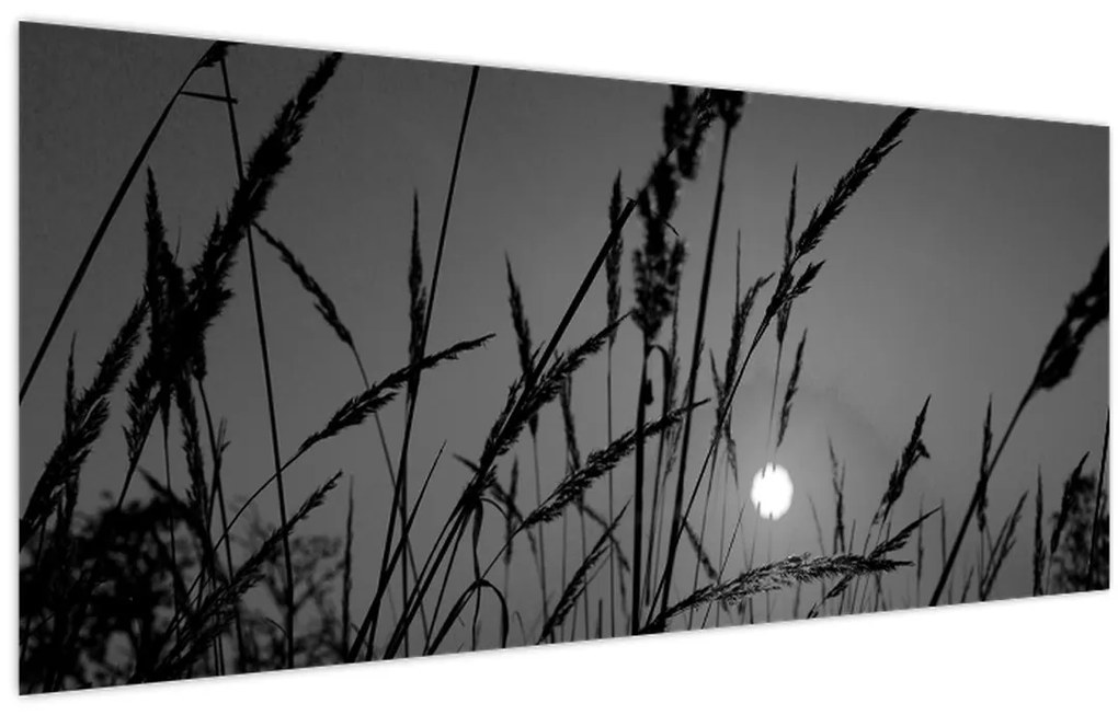 Tablou - Pajiște cu apus de soare (120x50 cm)