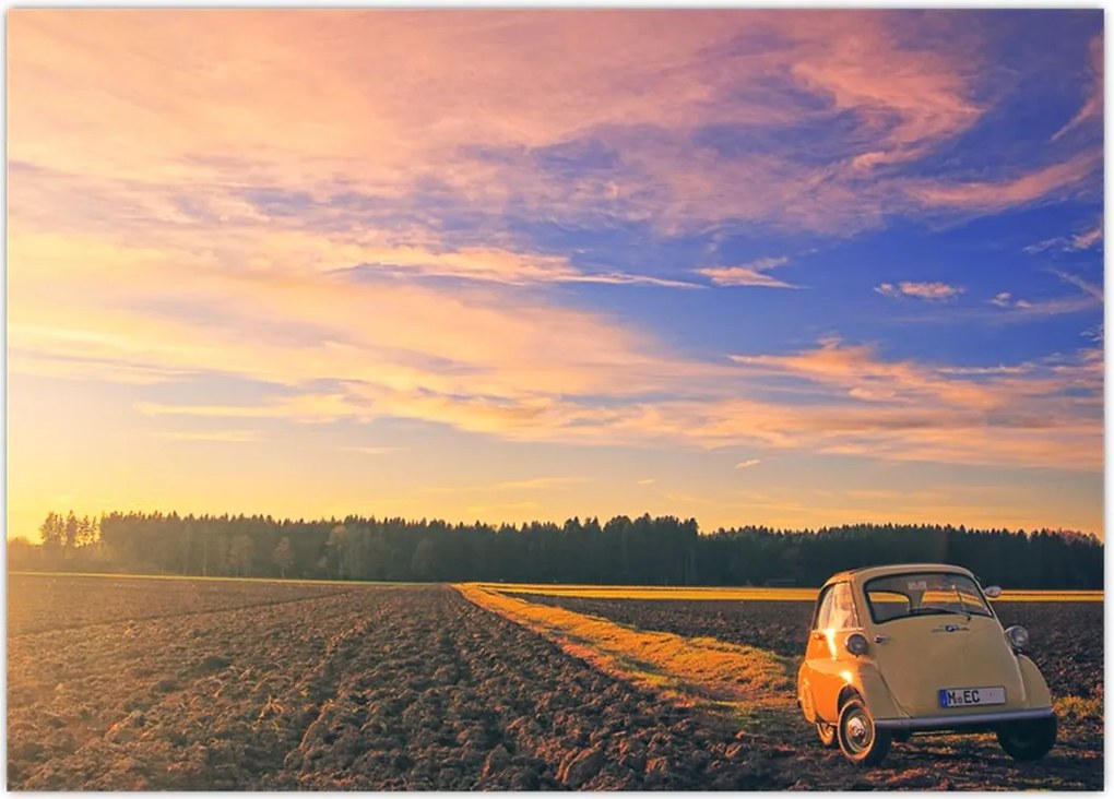 Tablou - Mașină galbenă ăn câmp (70x50 cm)