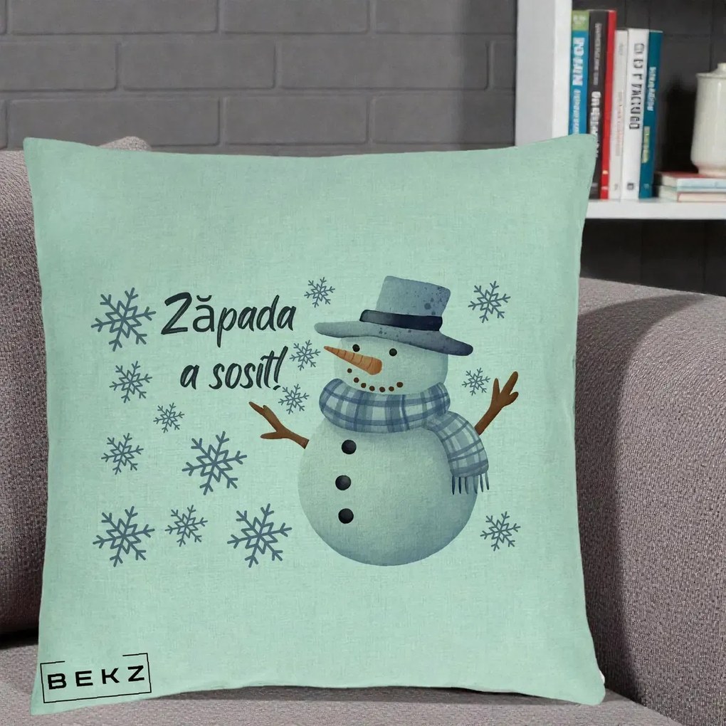 Perna Decorativa Zapada a Sosit Om de Zapada, 40x40 cm, Verde Menta, Husa Detasabila, Perna Inclusa, BEKZ®