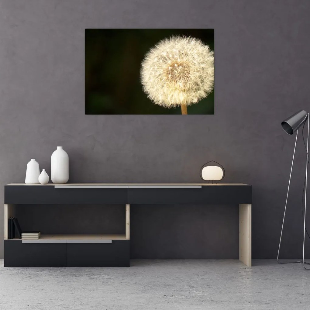 Tablou cu păpădie gri (90x60 cm)