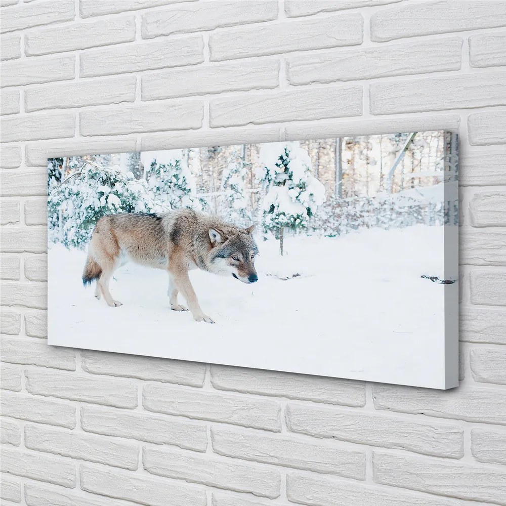 Tablouri canvas pădure de iarnă Wolf