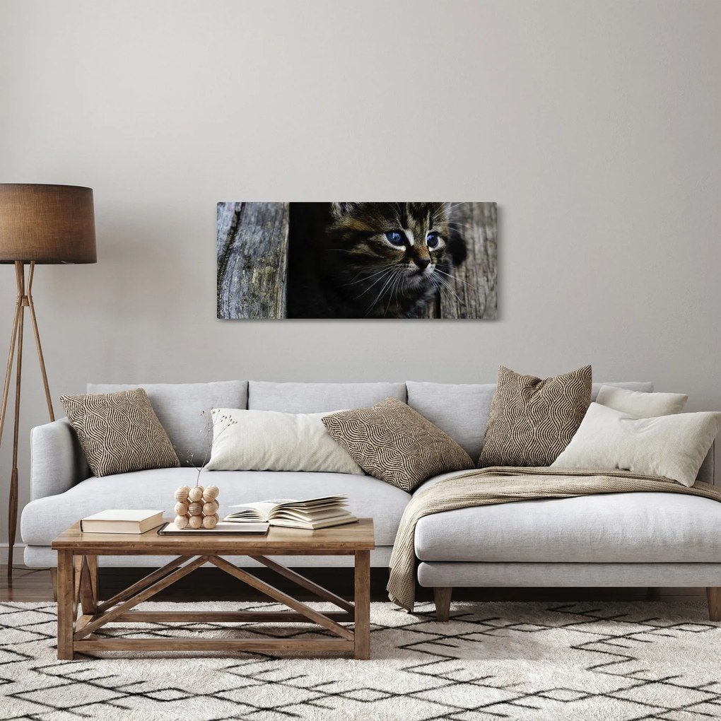 Tablou cu pisicuța (120x50 cm)