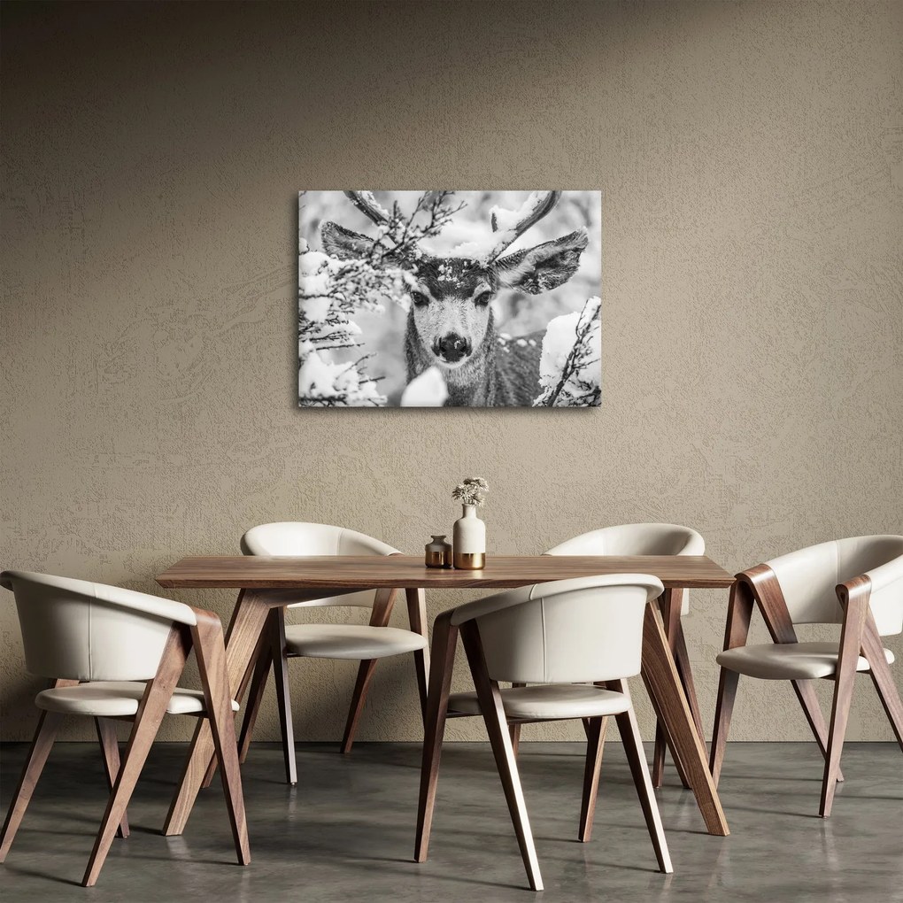 Tablou - Cerb în timpul iernii (70x50 cm)