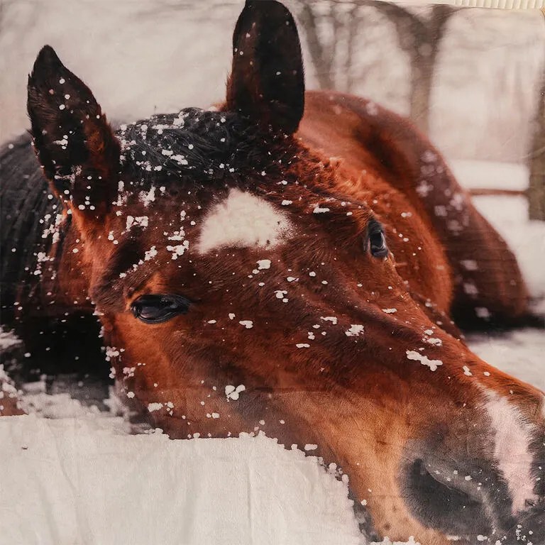 Pătură cu blăniță CAL 150 x 200 cm