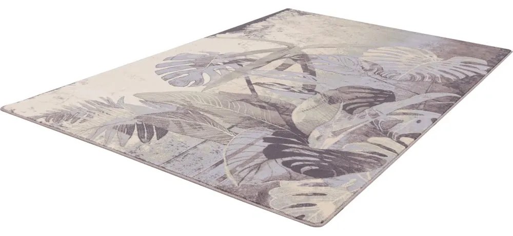 Covor gri/crem din lână 200x300 cm Plants – Agnella