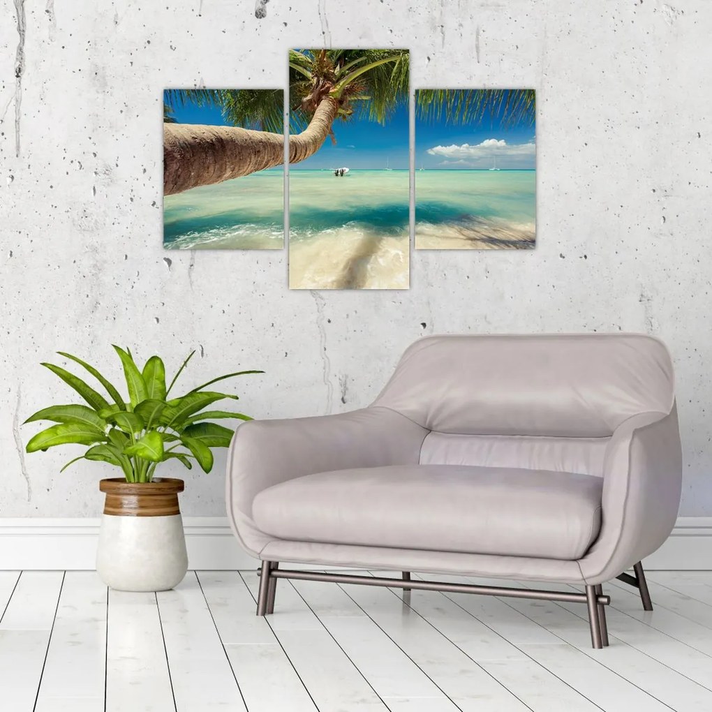 Tablou - Mare curată cu palmier (90x60 cm)