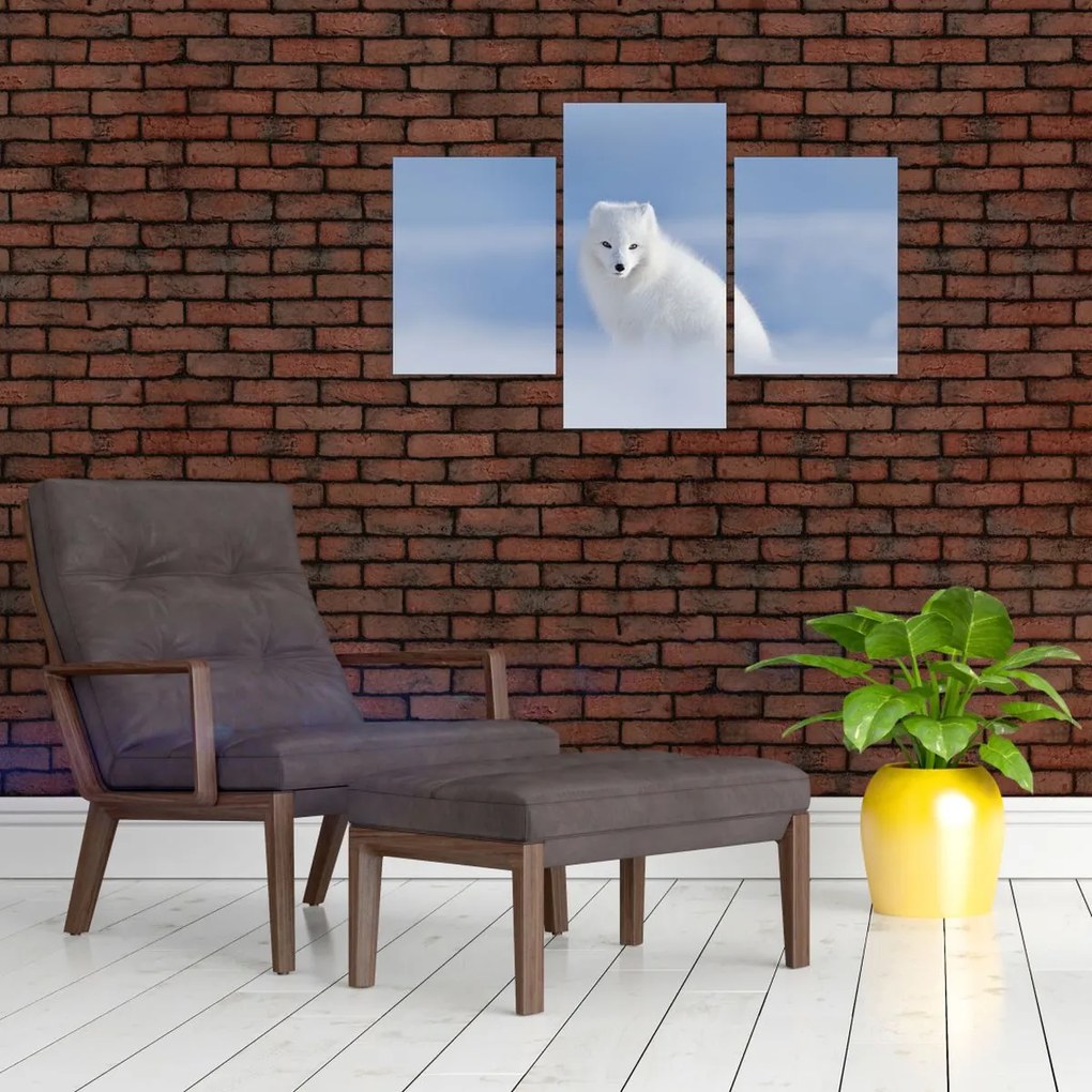 Tablou - Vulpe polară (90x60 cm)
