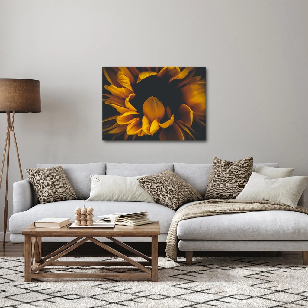 Tablou - Floarea-soarelui în fundal negru (70x50 cm)