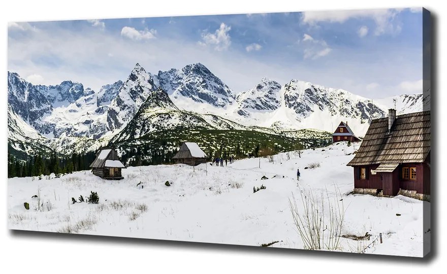 Pictură pe pânză Hale tatry