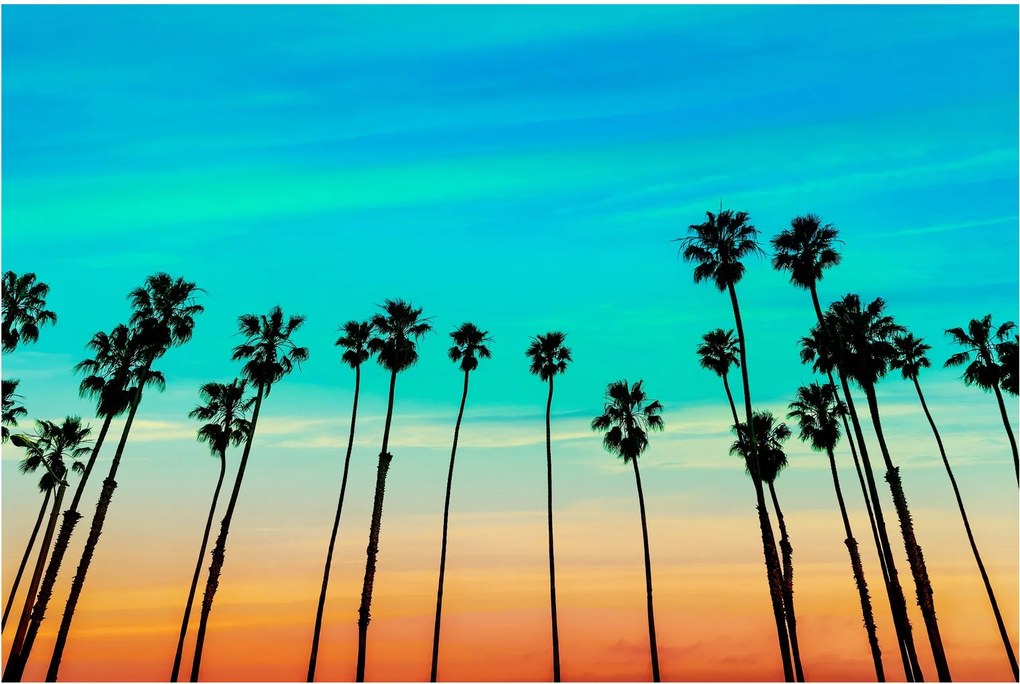 Tablou - California (90x60 cm)