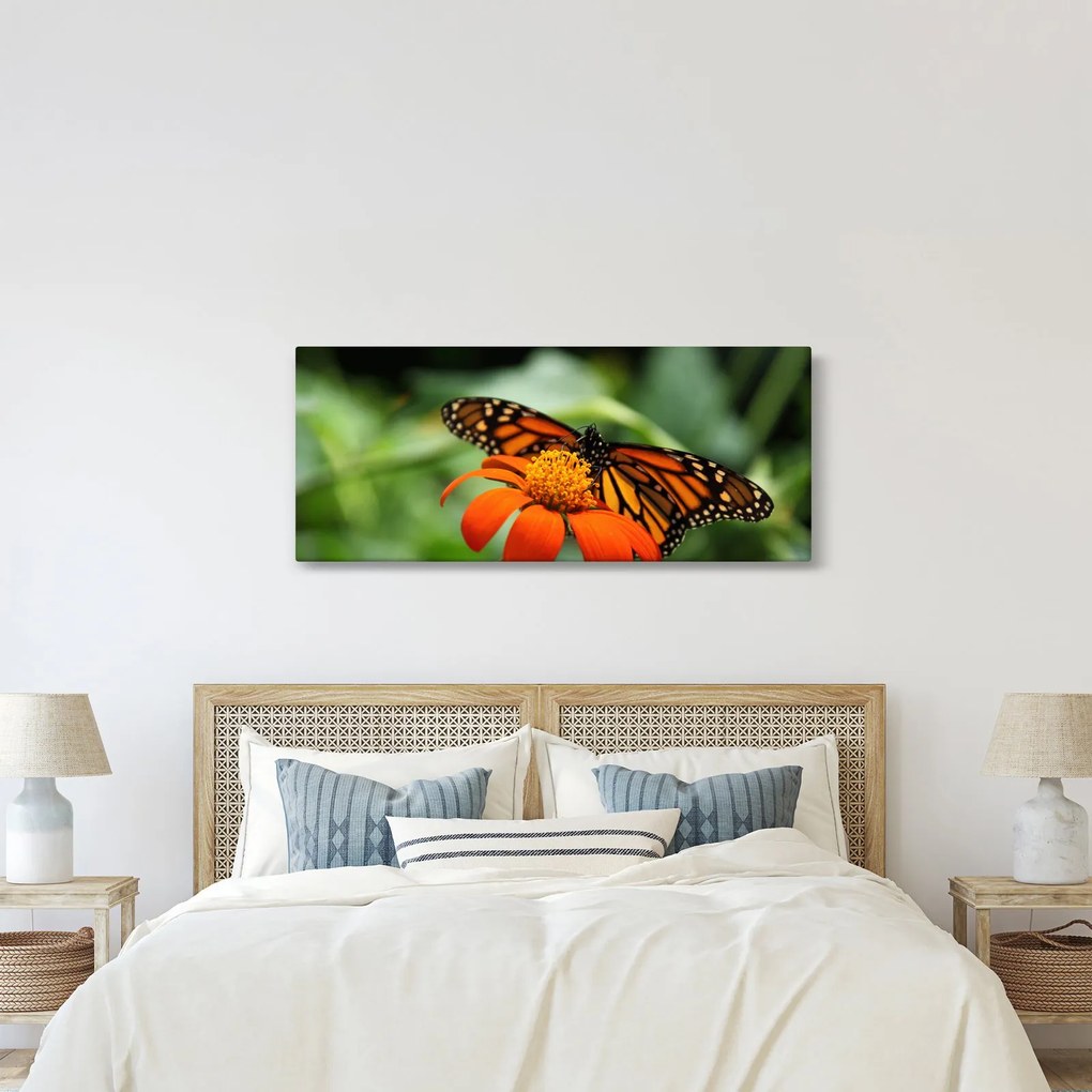 Tablou cu fluture pe floare (120x50 cm)