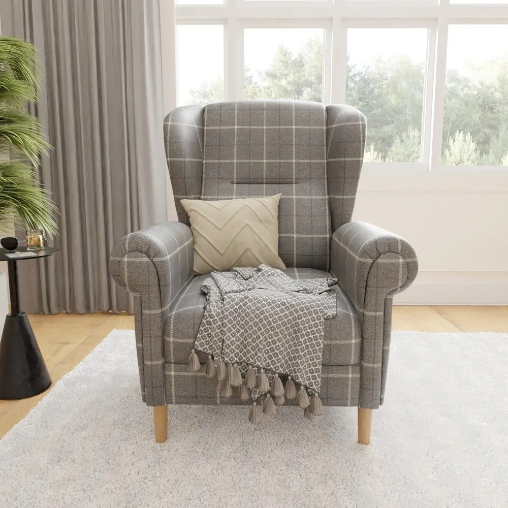 Fotoliu gri wing Swan – Ropez