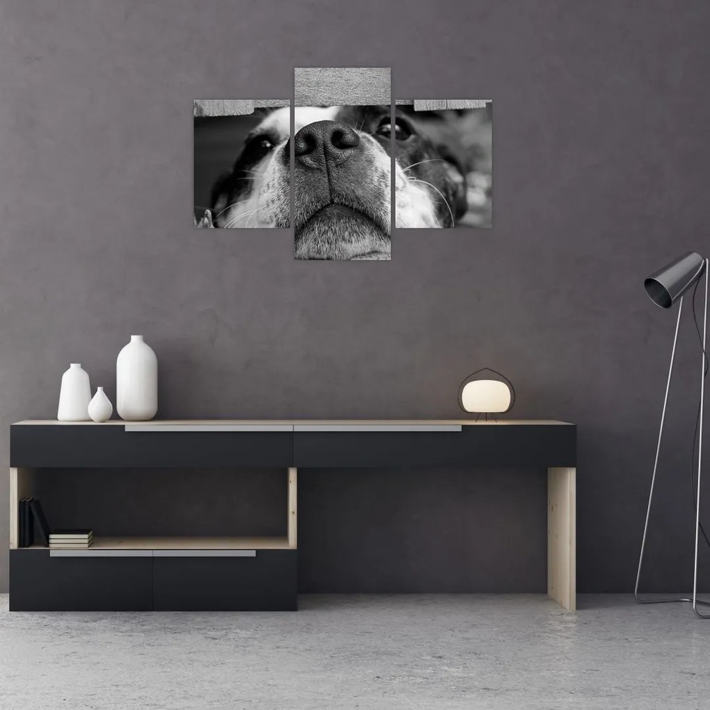 Tablou cu câine (90x60 cm)
