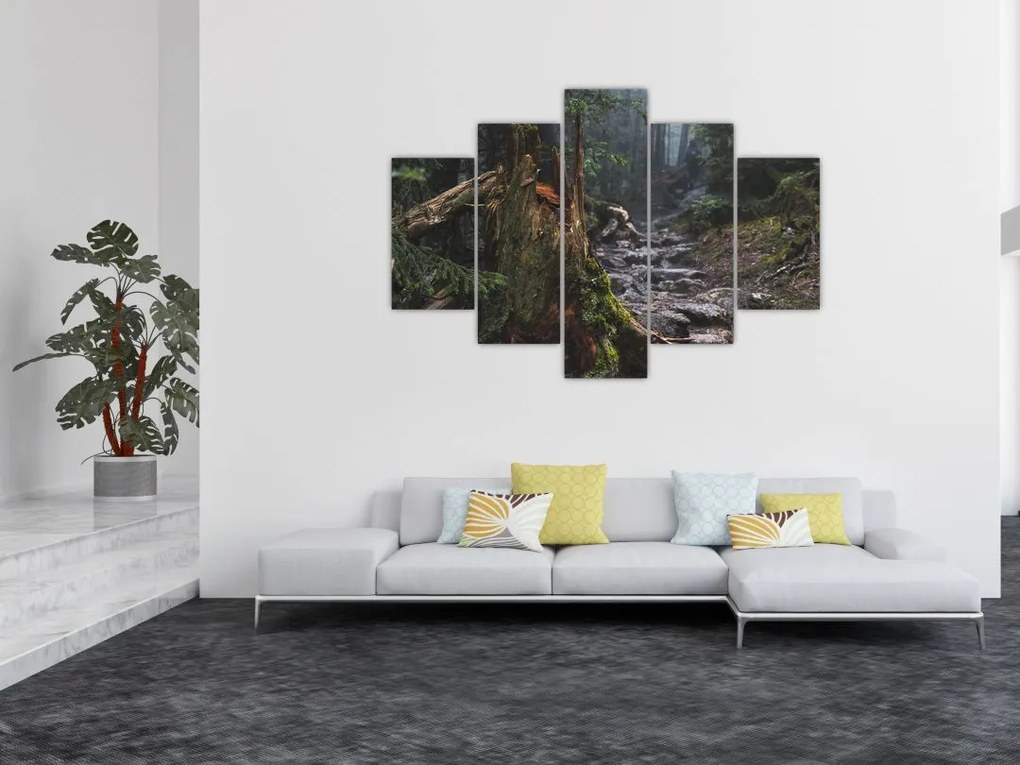 Tablou - În pădure (150x105 cm)