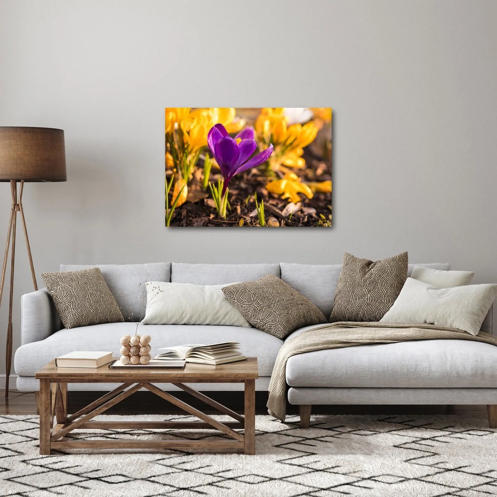 Tablou cu floare violetă (70x50 cm)