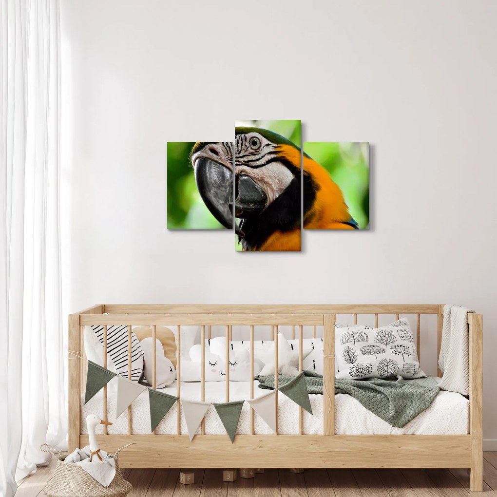Tablou cu papagal (90x60 cm)