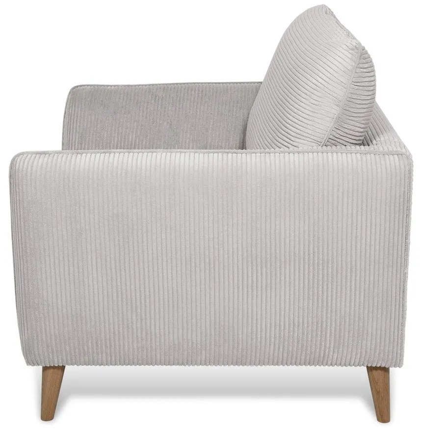 Fotoliu gri deschis cu tapițerie din catifea reiată Paris – Scandic