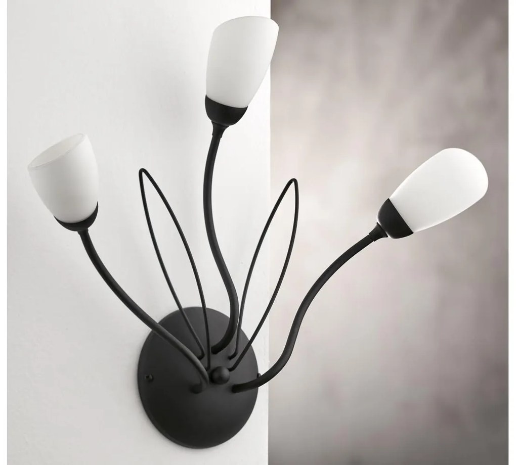 Jupiter 2059 - Aplică de perete GLORIOSA 3xG9/14W/230V, neagră