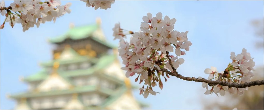 Tablou - Sakura (120x50 cm)