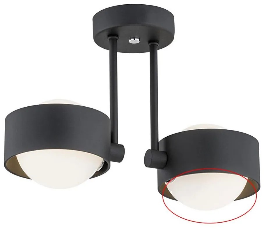 Argon - Sticlă de schimb pentru lustră MASSIMO PLUS G9