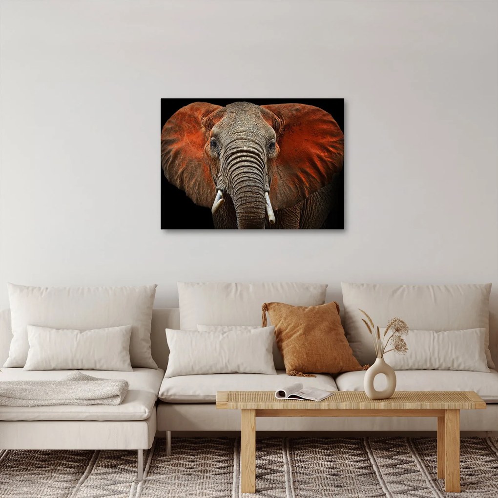 Tablou - Elefanți cu Tsavo (70x50 cm)