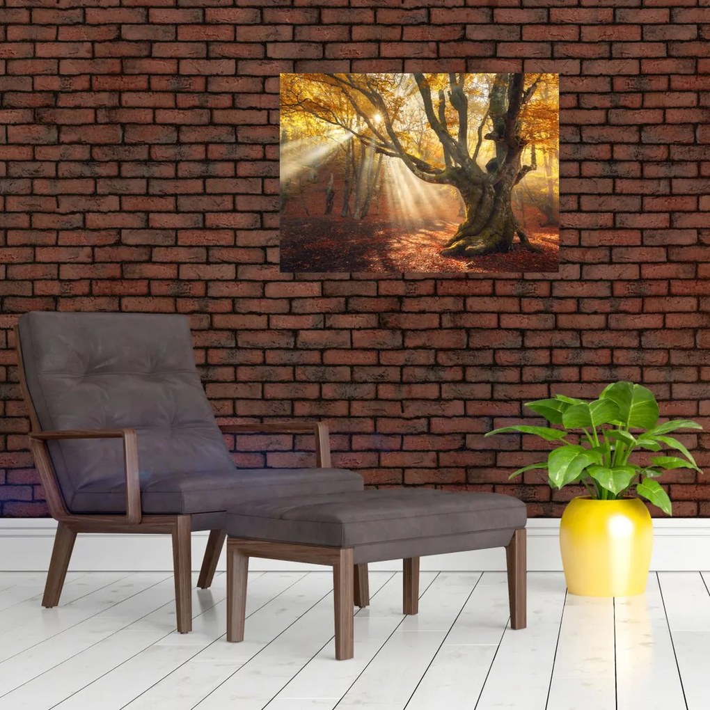 Tablou - Lumina de toamnă (70x50 cm)