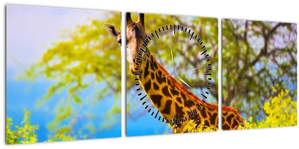 Tablou - Girafa în Africa (cu ceas) (90x30 cm)