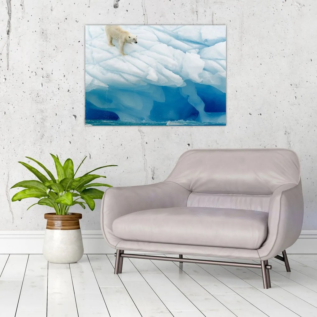 Tablou pe sticlă - Ursul polar (70x50 cm)