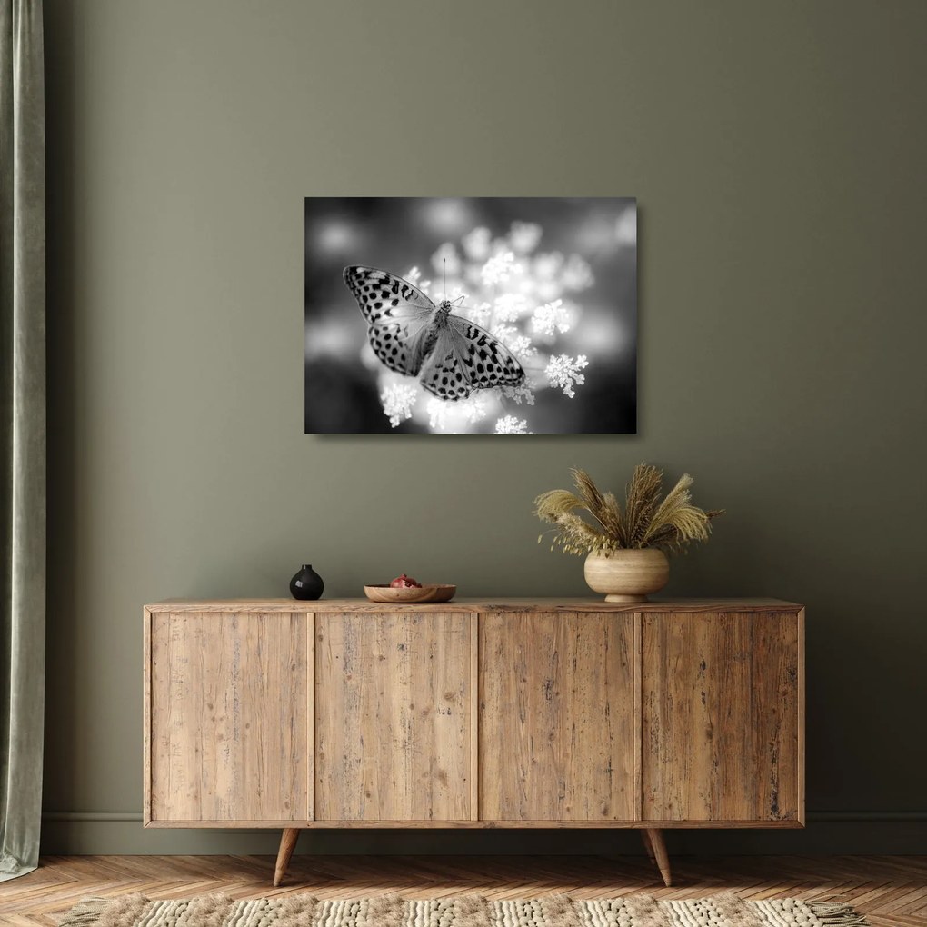Tablou pe sticlă - Detailu cu fluture care polenizează floare (70x50 cm)