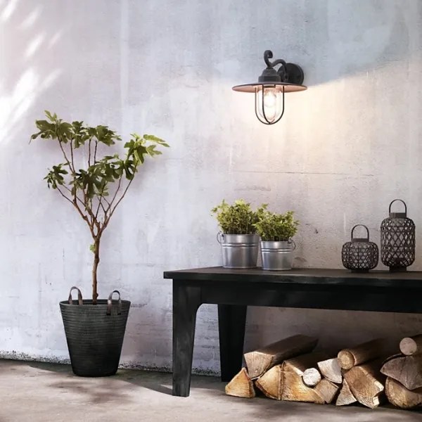 Aplică de exterior 1xE27/60W/230V IP44 Philips Massive 16270/30/PN