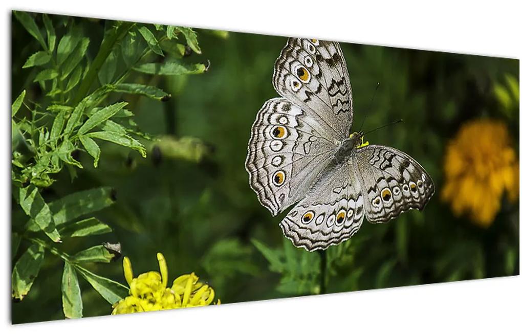 Tablou - fluture alb (120x50 cm), în 40 de alte dimensiuni noi