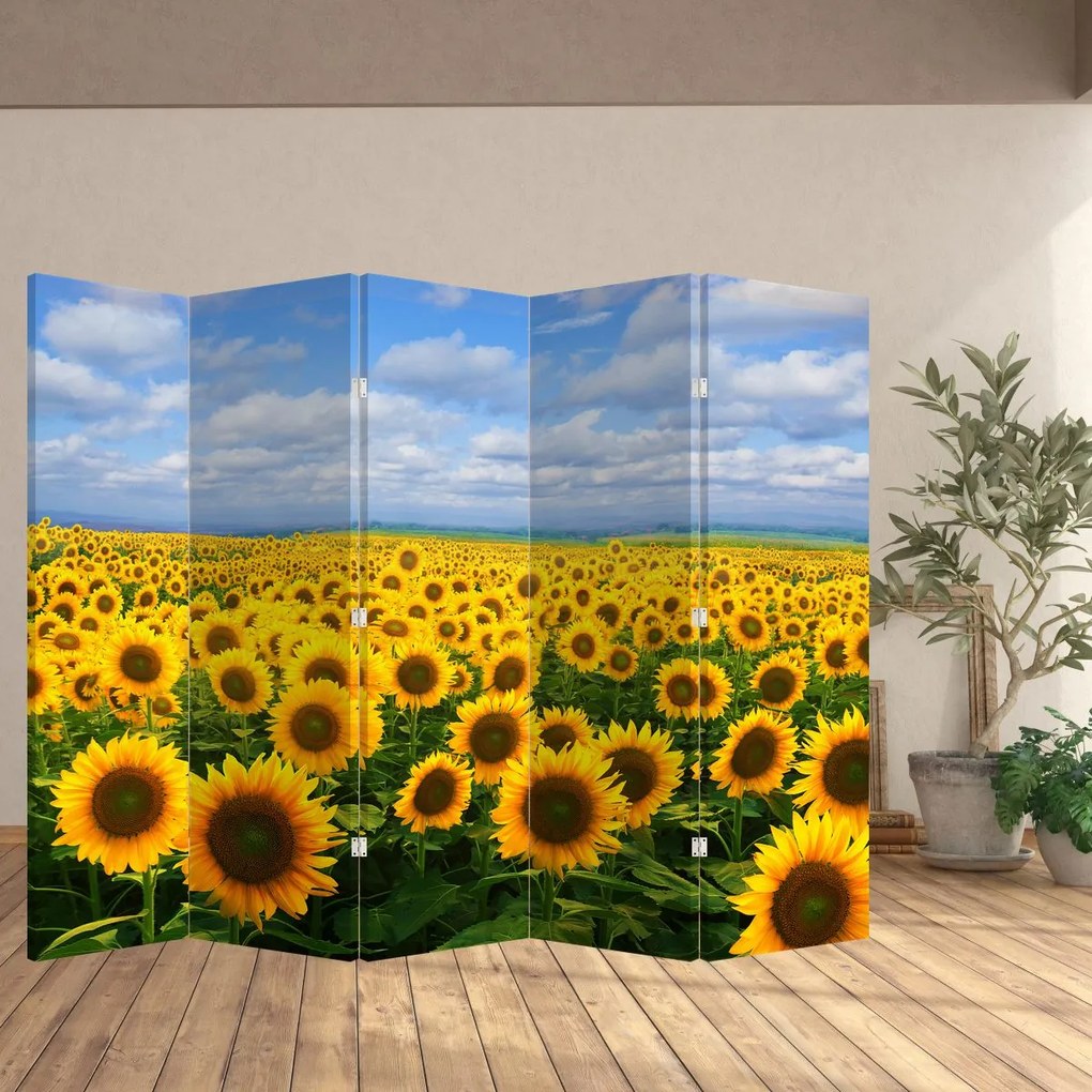 Paravan - Lan de floarea soarelui (210x170 cm)