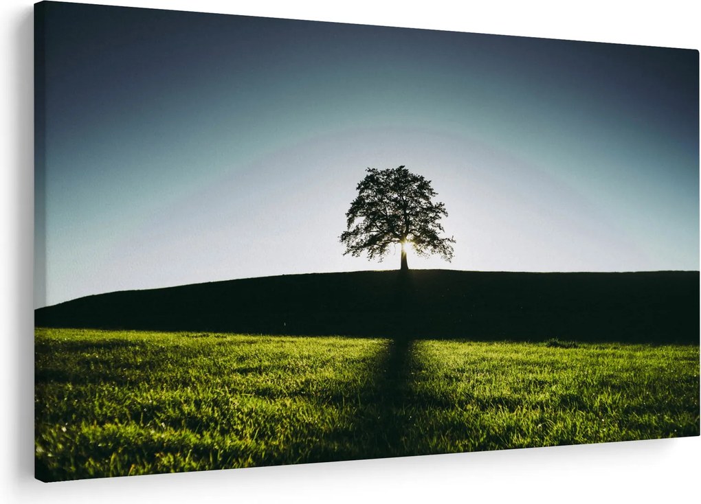 Tablou cu natura - copac (90x60 cm)