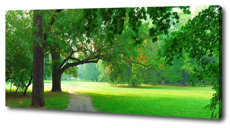 Print pe canvas Park din toamna