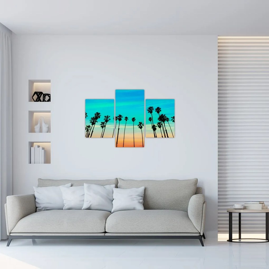 Tablou - California (90x60 cm)