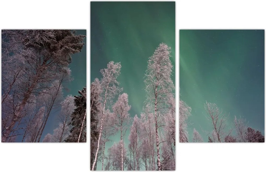 Tablou cu aurora borealis deasupra pomilor înghețați (90x60 cm)