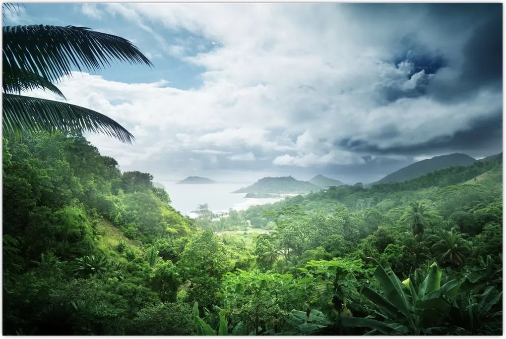 Tablou -Jungla din Seychelles (90x60 cm)