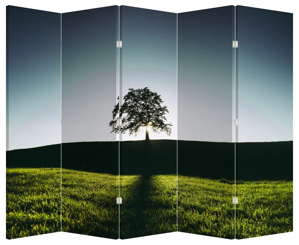 Paravan - Copac (210x170 cm)