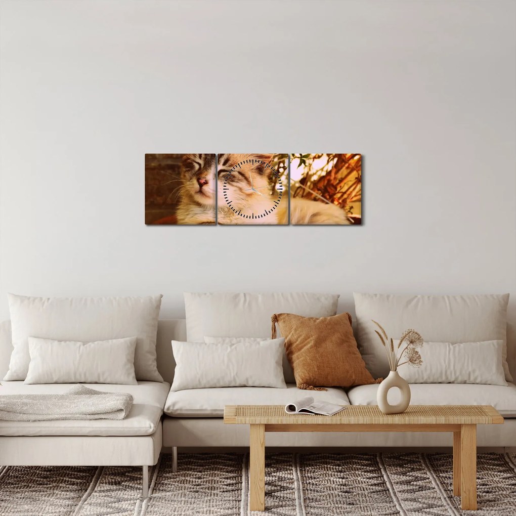 Tablou cu pisica în ghiveci (cu ceas) (90x30 cm)