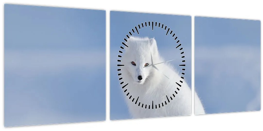 Tablou - Vulpe polară (cu ceas) (90x30 cm)