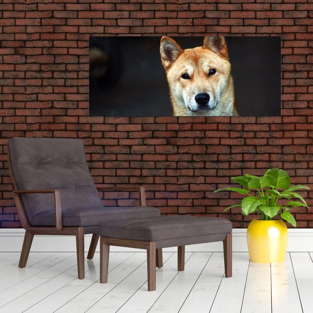 Tablou cu câine (120x50 cm)