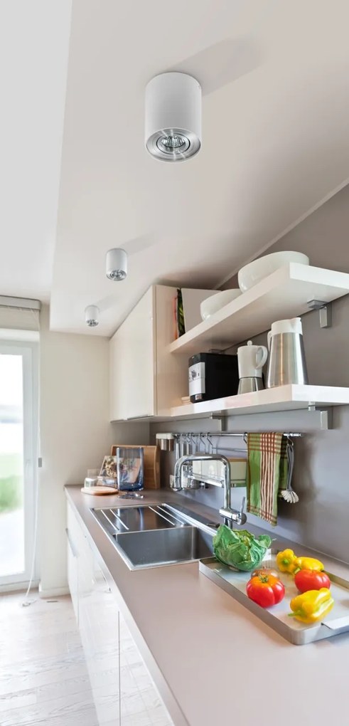 Spot aplicat tavan/plafon stil modern Bross 2 Aluminiu