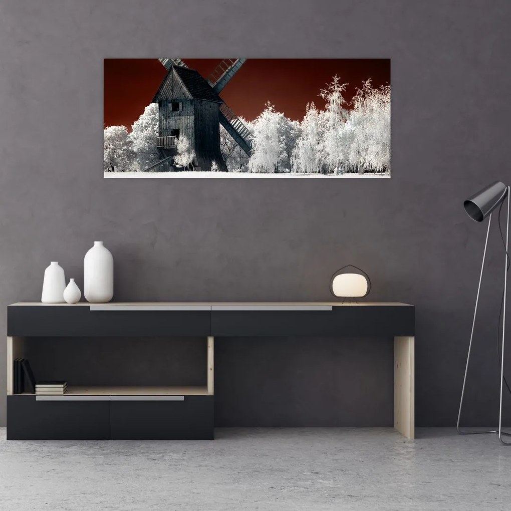 Tablou cu moară (120x50 cm)