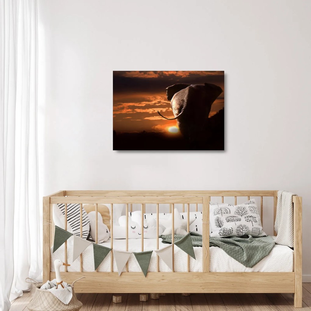 Tablou pe sticlă cu elefant (70x50 cm)