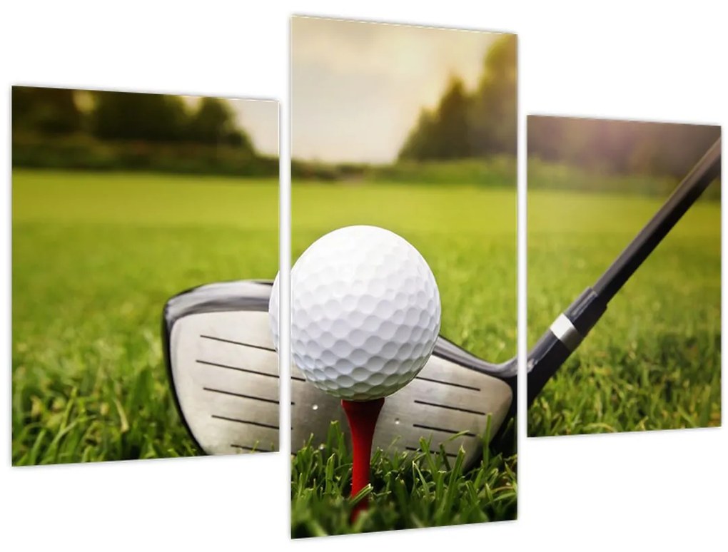 Tablou - Golf (90x60 cm)