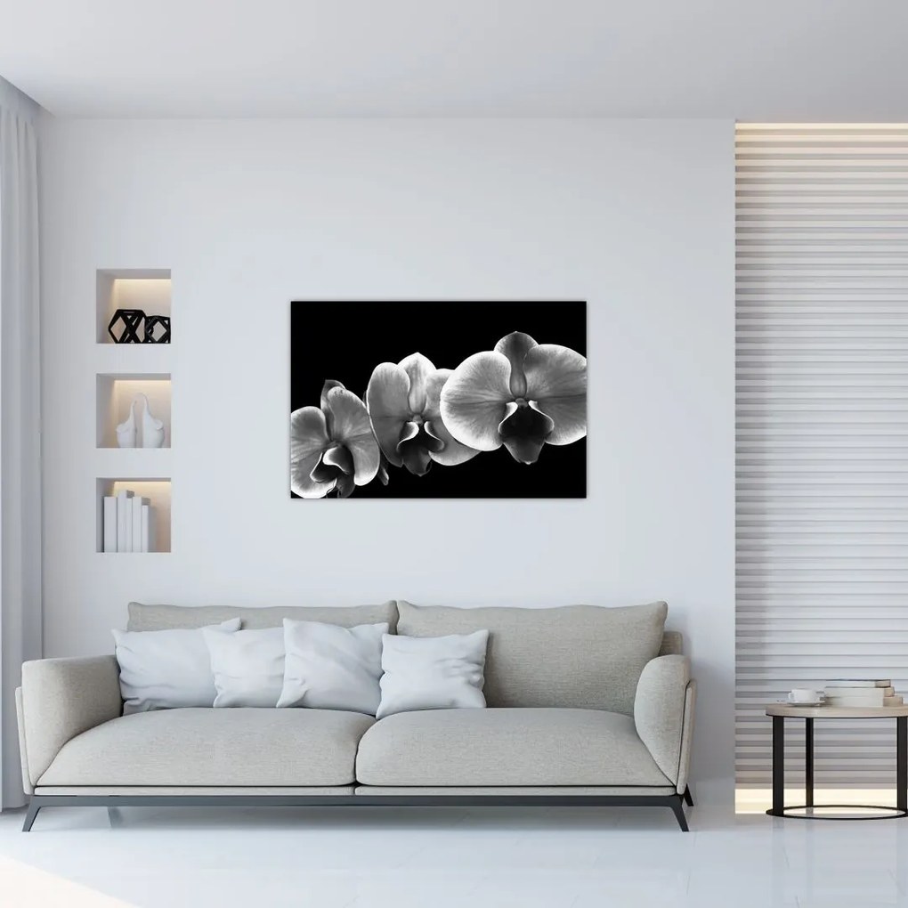 Tablou floare de orhidee (90x60 cm)