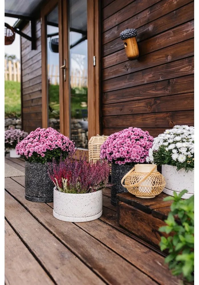 Ghivece 2 buc. din beton ø 30 cm Terrazzo – Bonami Selection