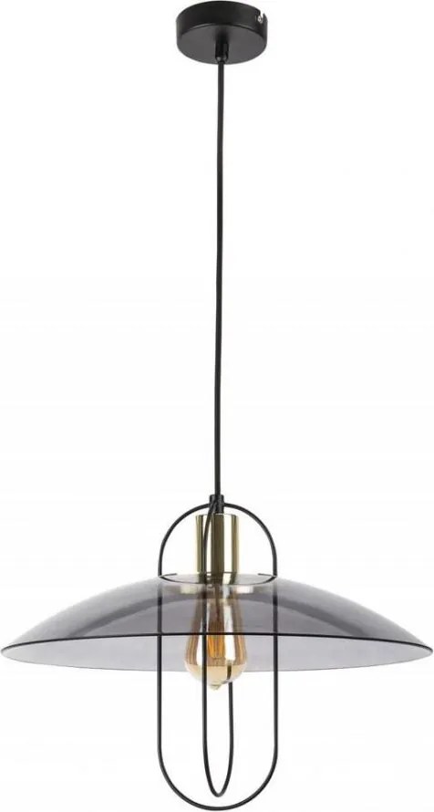 Rabalux 5000 - Lustră pe cablu VIDA 1xE27/8W/230V